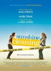 Sunshine Cleaning (2008).jpg